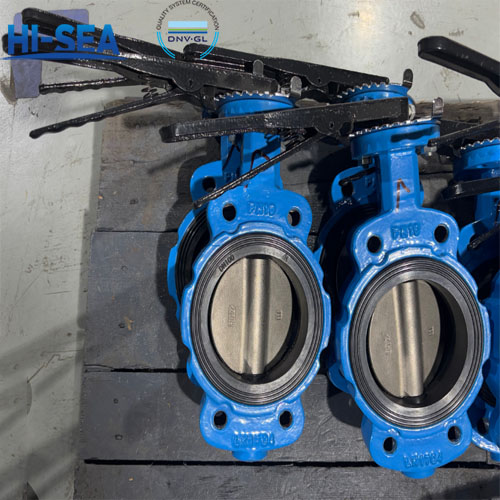 Marine Butterfly Valve Disc and Seal Material Recommendation